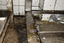 Špína, plíseň i padající omítka! Inspekce uzavřela jídelnu v Pohořelicích